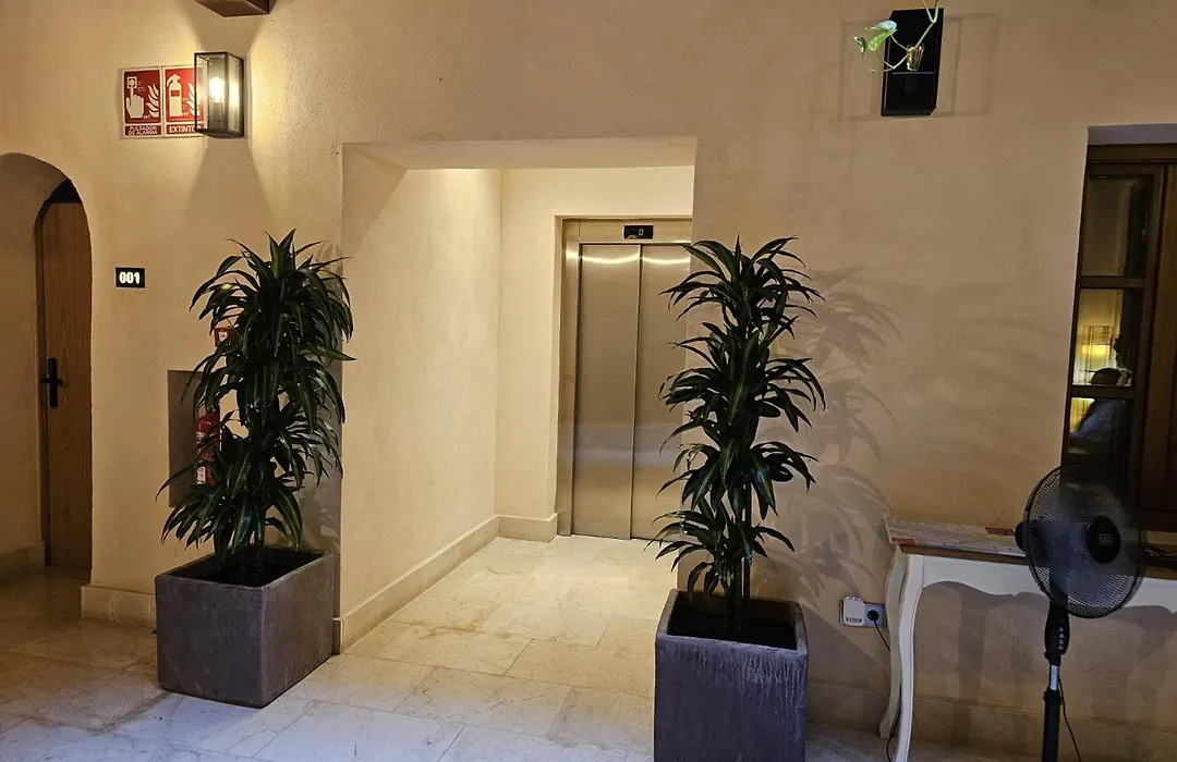 Hemd Hotels Puerta Real Boutique-1